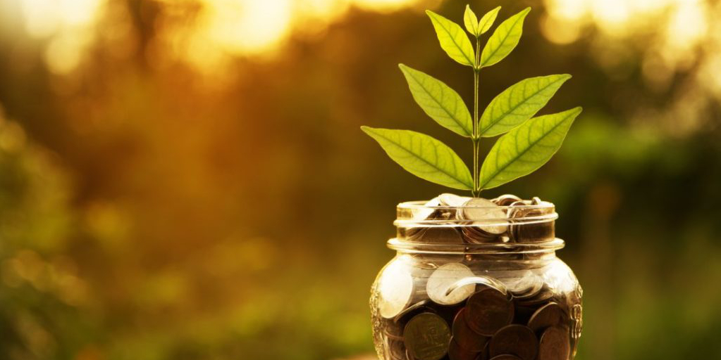 CREATOR: gd-jpeg v1.0 (using IJG JPEG v62), quality = 82